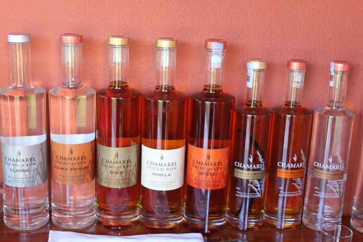 Sortie visite guidée (par contre chéri à bu tout ça)