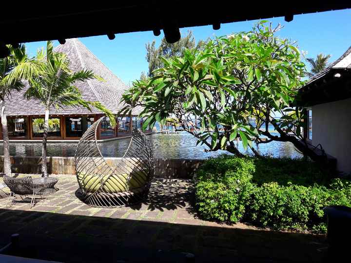 J'adorais ses grands fauteuils en forme de feuille!