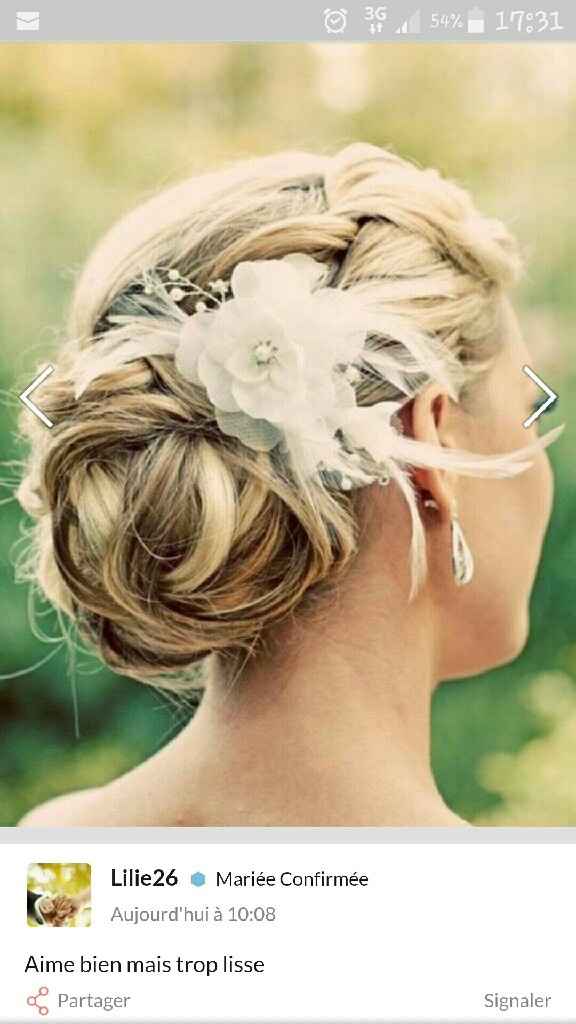 Accessoire cheveux - 1