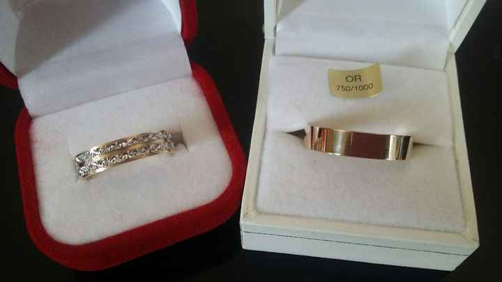 Nos bagues pour la vie - 1