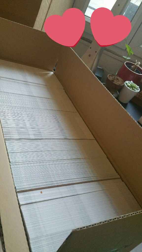 Petite livraison du matin! - 1