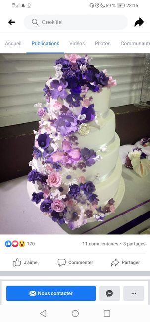 Mariage Thème romantic et chic - 1