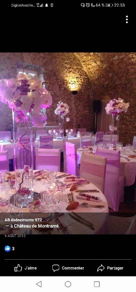 Mariage Thème romantic et chic - 1