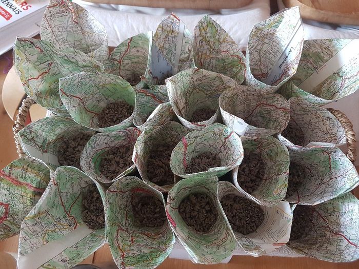 Cornet pour lavande 3