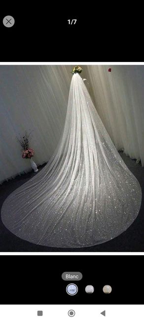 Voile ou pas ? Help 😊 3