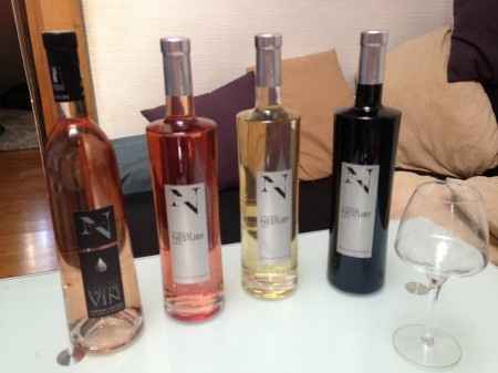 Chateau Nestuby