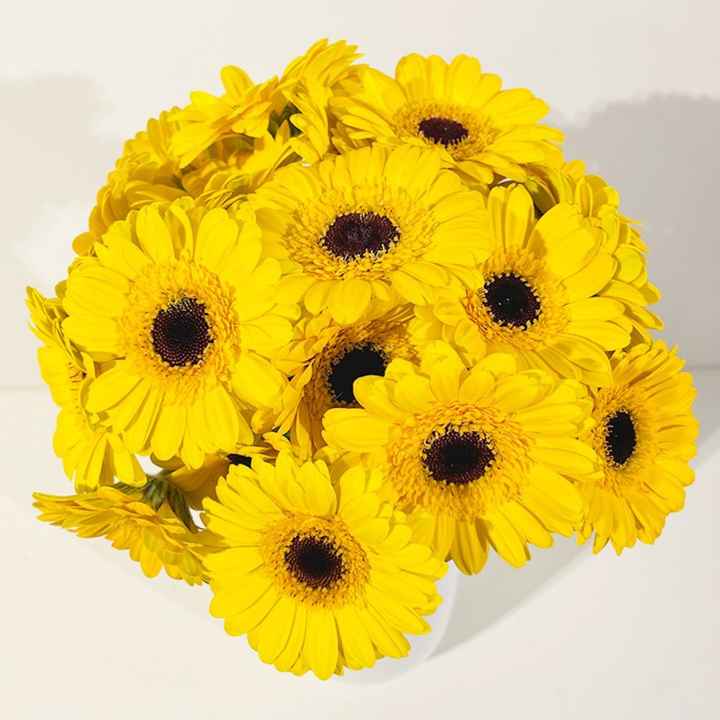 Rendez vous fleuriste - 1