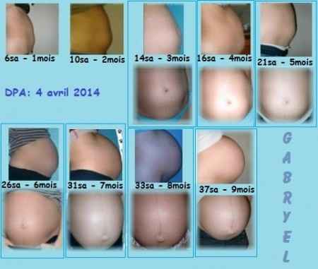 Evolution bidou
