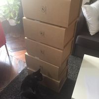 Mon kit témoin et dh - 3