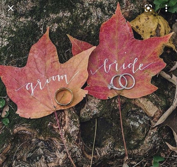 C’est l’automne 🍂🍁🎃 - 2