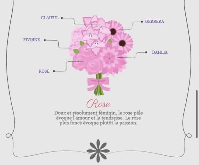 Comment choisir ses fleurs 💐 4