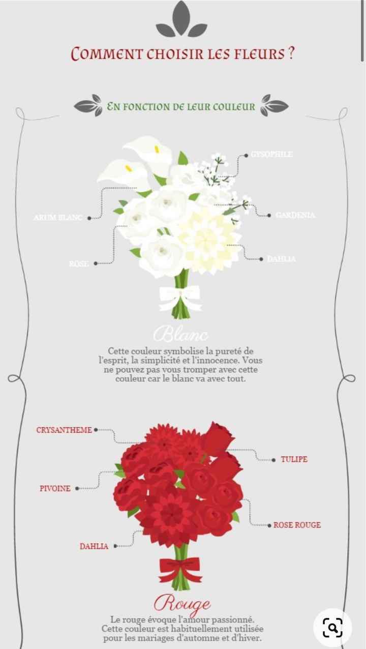 Comment choisir ses fleurs 💐 - 1