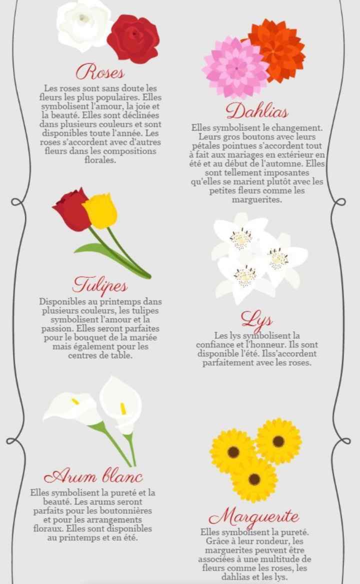 Comment choisir ses fleurs 💐 - 5