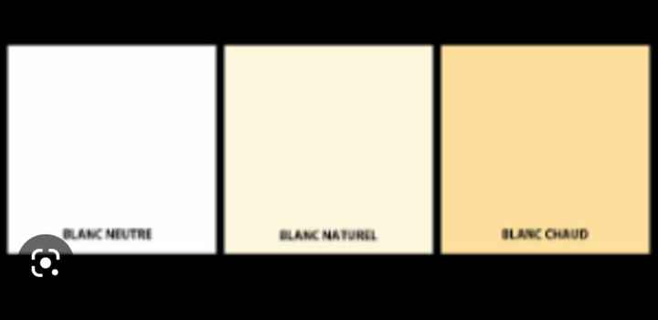 Blanc naturel...dans les blancs ou dans les ivoires? - 1