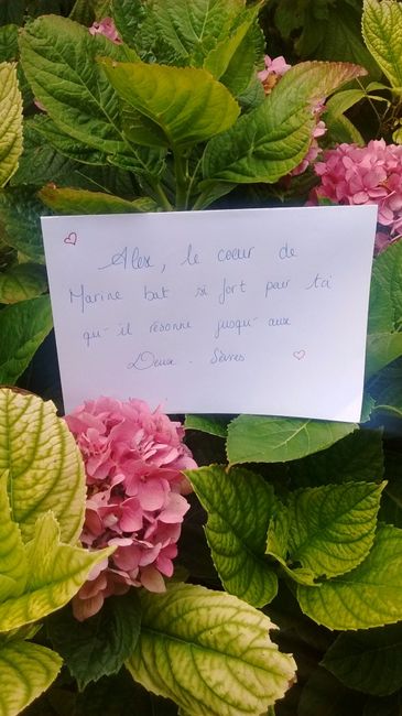 Love Note Marine