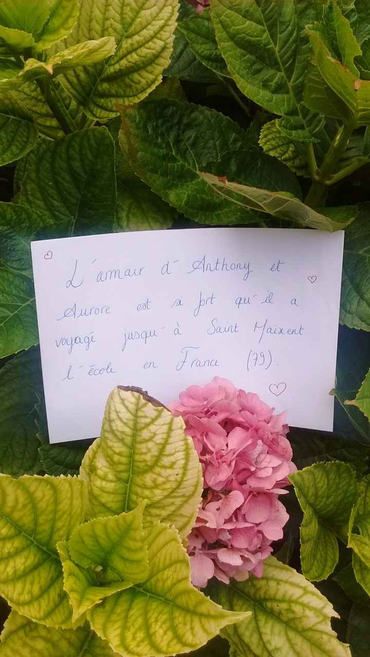 Love Note Aurore