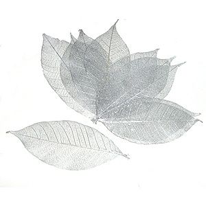 Décoration de tables "Air " Feuilles squelettes argentées