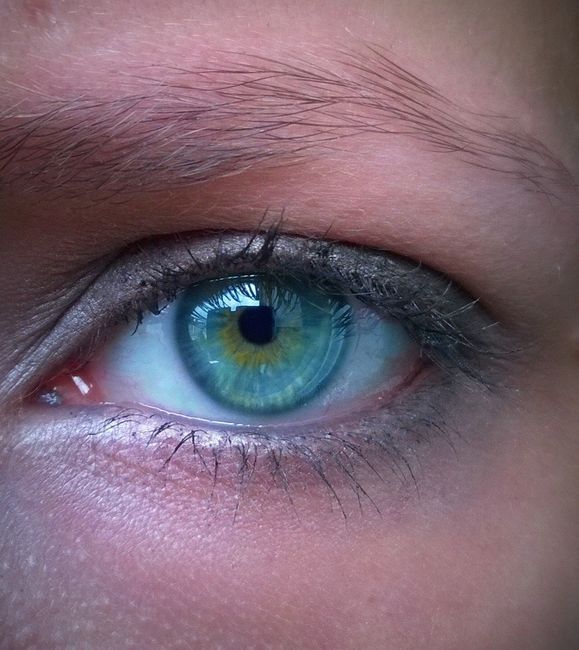 Make up au quotidien 