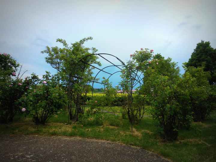 Un coin de verdure devant la salle