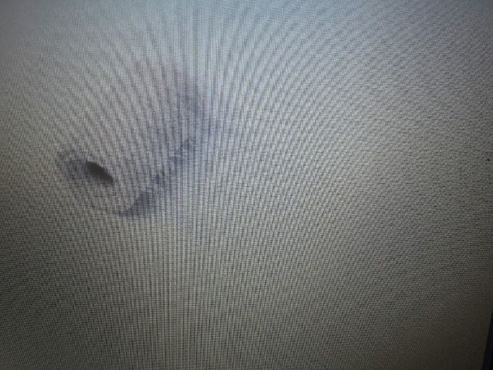 1 ère commande sur badaboum - 5