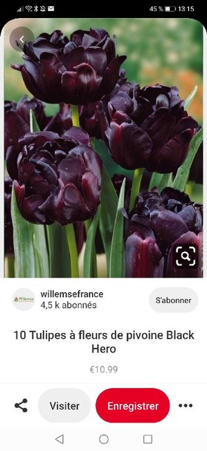 Quelles fleurs pour votre grand jour ? 💐 3