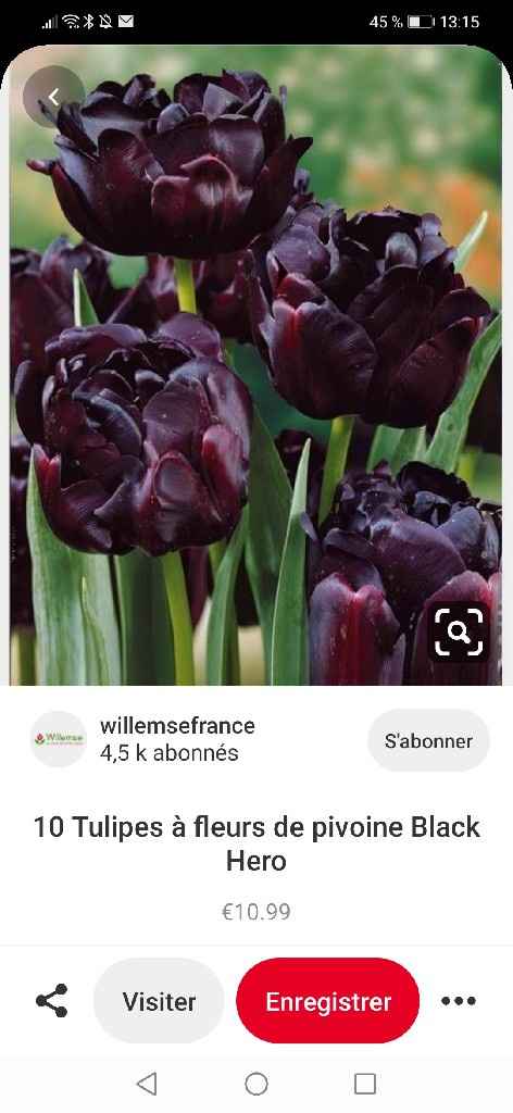 Quelles fleurs pour votre grand jour ? 💐 - 1