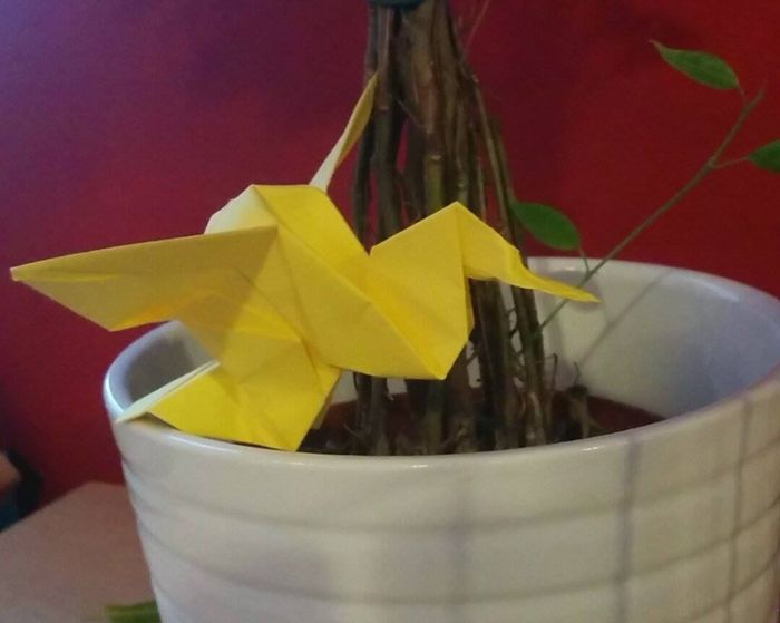 Origami Colibri