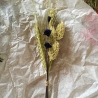 Décoration fleurs séchées - 3