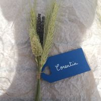 Retour d'expérience : quelle taille de vase ? - 1