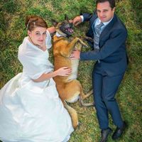 Nos amis les animaux - 1