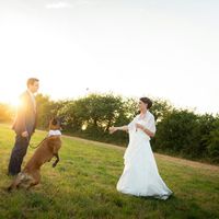 Nos amis les animaux - 2