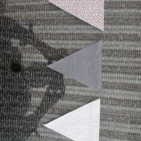 Avis - 3