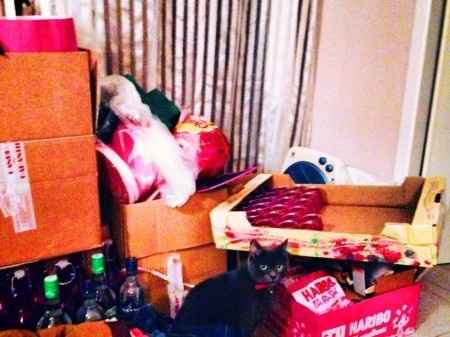 Attention CHAT méchant lool