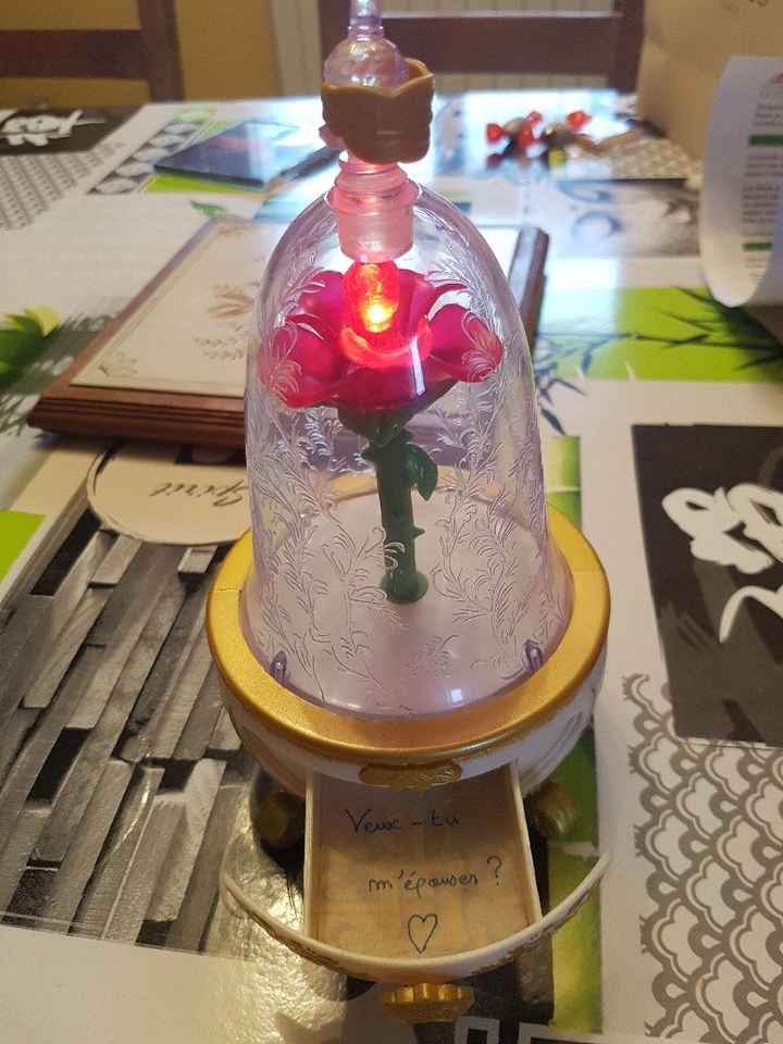 Demande 😍 et question sur les fleurs - 1