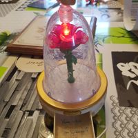 Demande 😍 et question sur les fleurs - 1