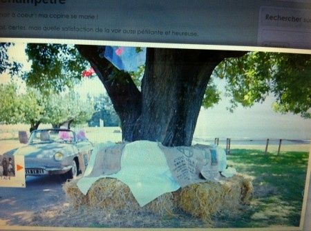 Et si on rassemblait nos idees " mariage champetre " ici ??? - 1