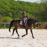 Morgane