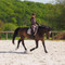 Morgane