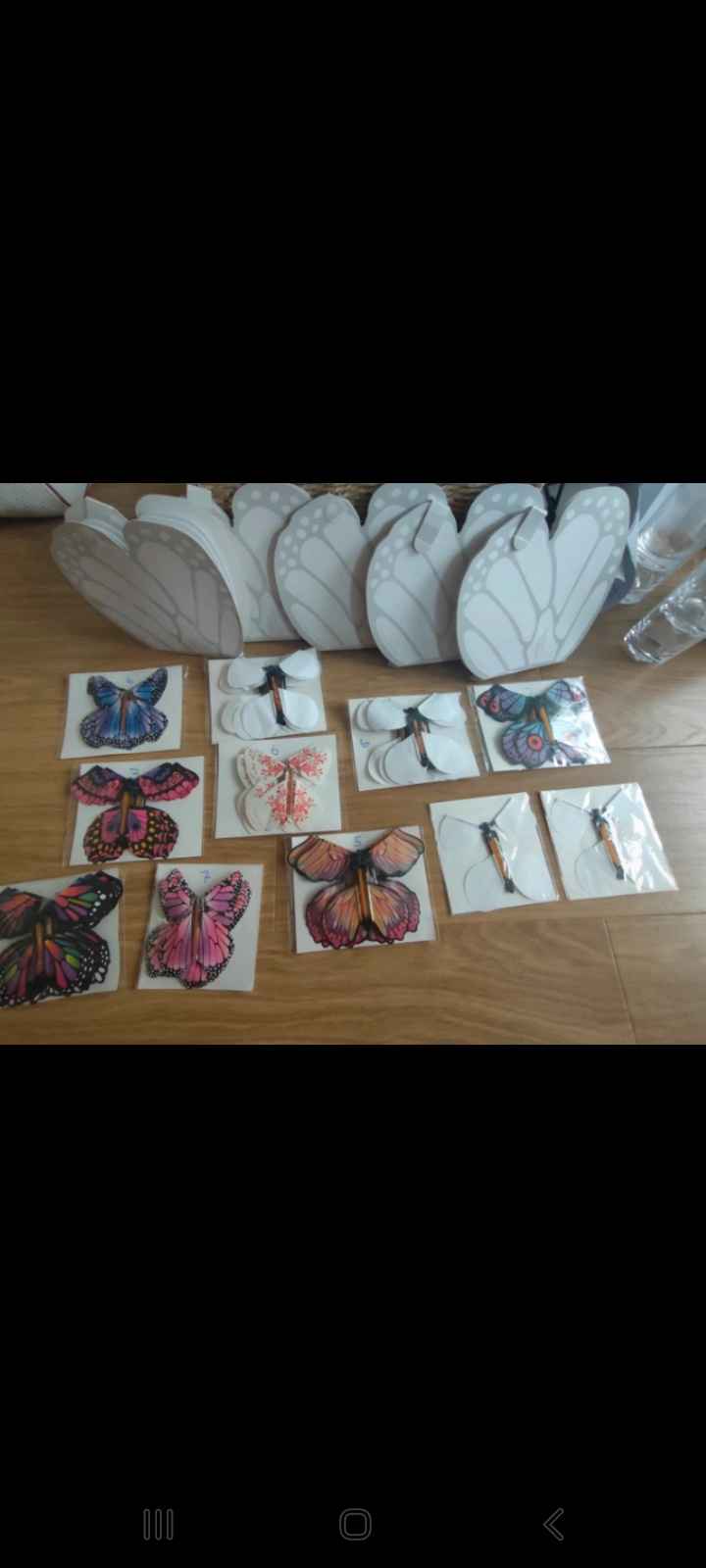 Cherche papillons magiques - 1