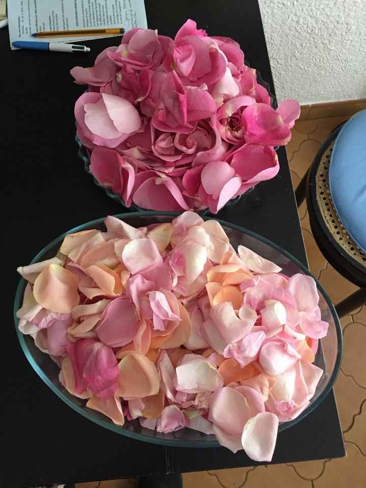 Pétales de roses - 1