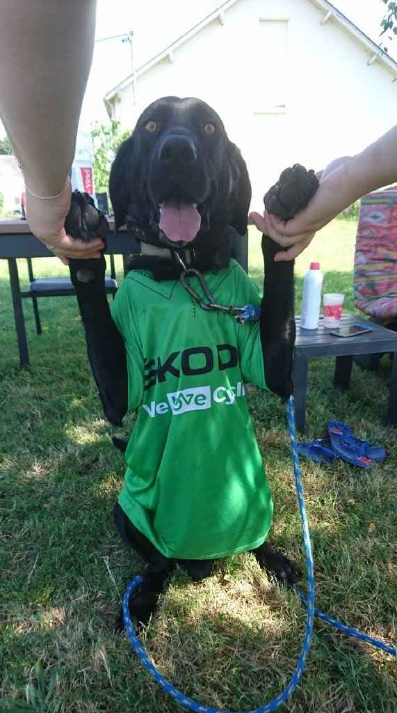 En direct du tour de france - 2