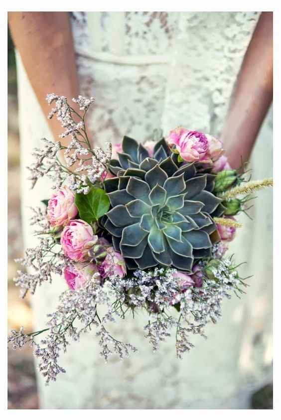 succulente