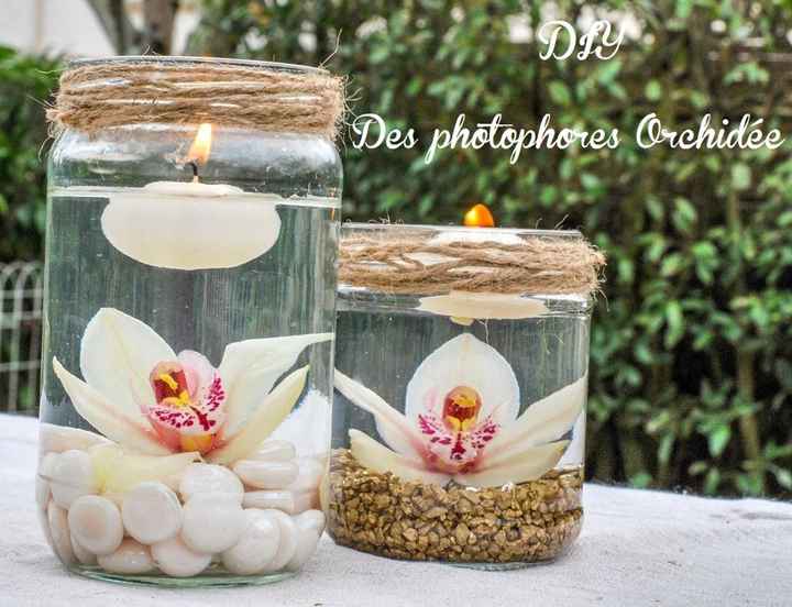 coup de coeur
