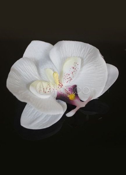 orchidées cheveux