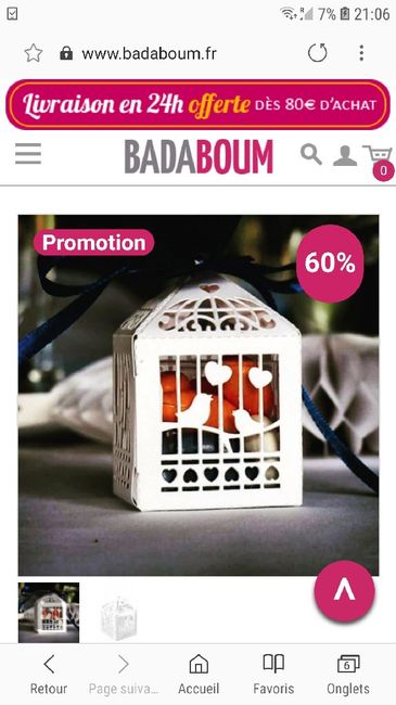 Cages à oiseaux - 1