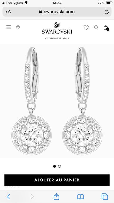 Avis boucles d’oreilles - 1
