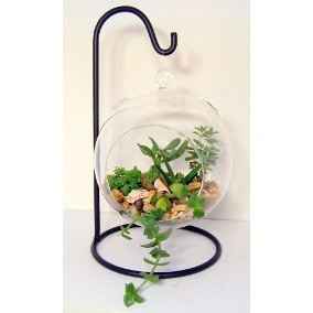 terrarium