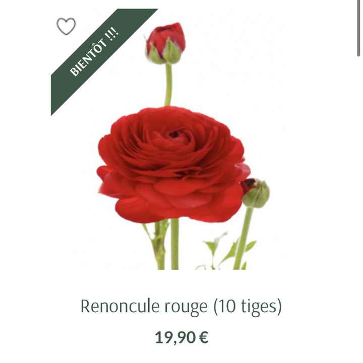 Budget fleuriste - 4