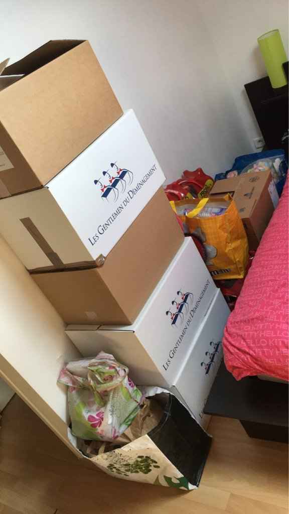 Quand ta deco devient envahissante ^^ - 2