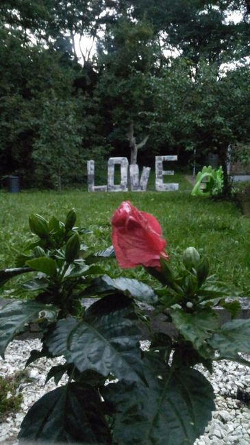LOVE Lettres géantes